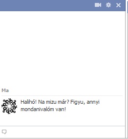 Facebook chat.jpg