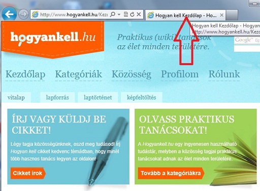 Letuzes Internet Explorer1.jpg