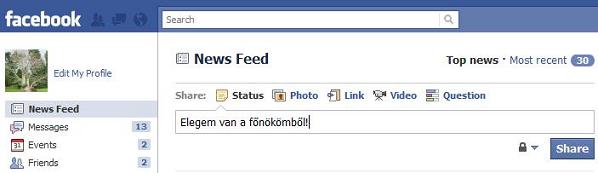 Facebook viselkedes1.jpg