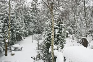 Gondozni a kertet decemberben.jpg