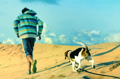 http://www.freedigitalphotos.net/images/Other_g374-Walk_The_Dog_p4421.html