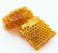 Honeycombs.jpg