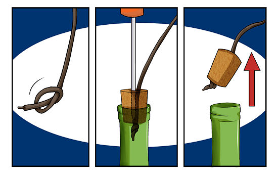 Dugohuzo nelkul5.jpg