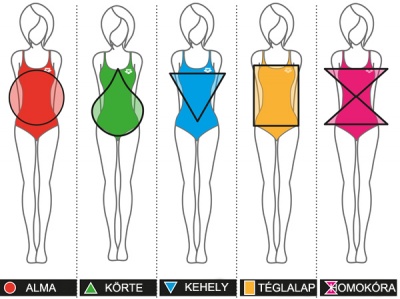 Body-types-shapes.jpg